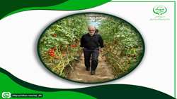 بررسی چالش‌های توسعه گلخانه‌ای در خضری دشت‌بیاض؛ تاکید بر بهره‌وری آب در قاینات